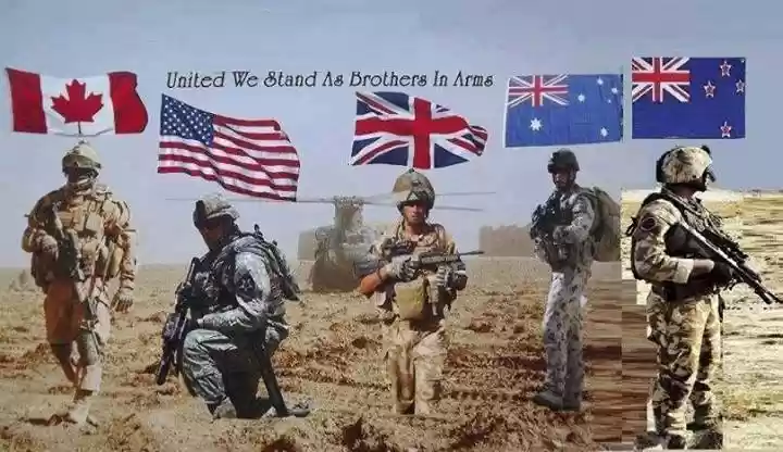 Brothers in Arms